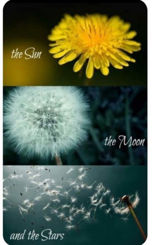 bc25295eb9c0e1e610117a0ac1e2a156.jpg bc25295eb9c0e1e610117a0ac1e2a156.jpg