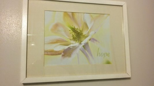 20160821_152200.jpg 20160821_152200.jpg