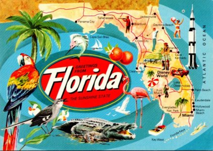 Greetings From Florida4.jpg Greetings From Florida4.jpg