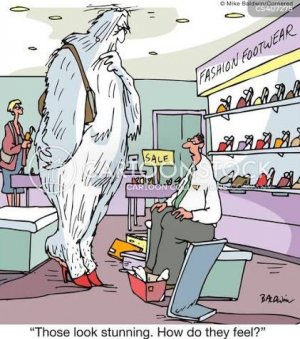 1774341517518.jpeg 1774341517518.jpeg