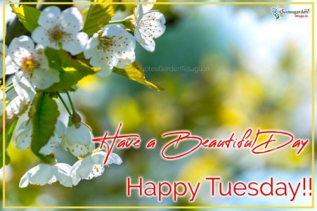 Happy tuesday images.jpg Happy tuesday images.jpg