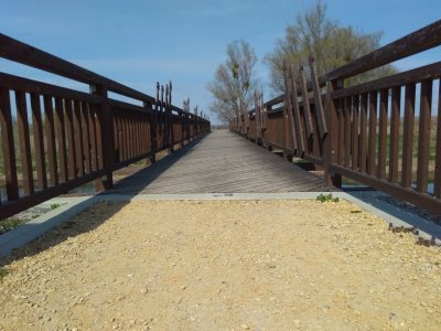 andau4.jpg andau4.jpg