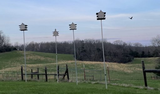 IMG_2770.jpeg IMG_2770.jpeg