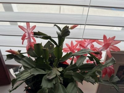 IMG_4692.jpeg IMG_4692.jpeg