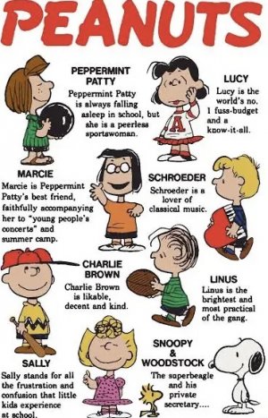 IMG_2960.jpeg IMG_2960.jpeg