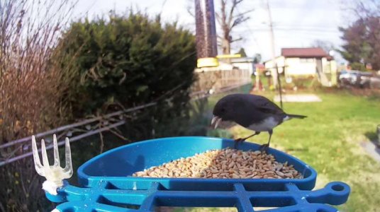 WhatsApp Image 2026-03-26 at 14.04.43.jpeg WhatsApp Image 2026-03-26 at 14.04.43.jpeg