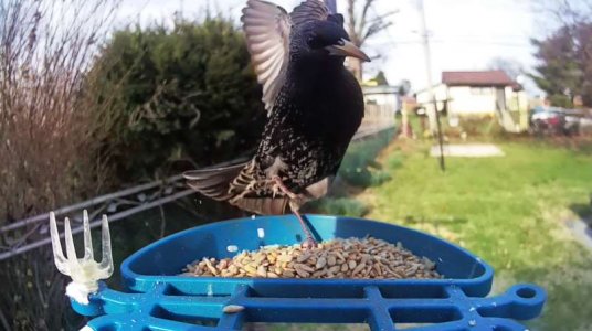 WhatsApp Image 2026-03-26 at 14.04.29.jpeg WhatsApp Image 2026-03-26 at 14.04.29.jpeg