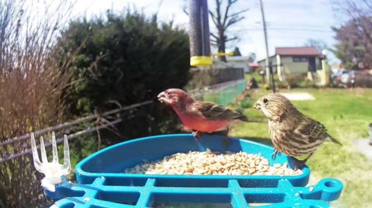 WhatsApp Image 2026-03-26 at 14.05.00.jpeg WhatsApp Image 2026-03-26 at 14.05.00.jpeg