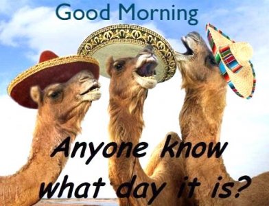 Good Morning what..jpg