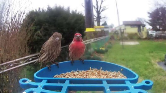 WhatsApp Image 2026-03-27 at 13.50.45.jpeg