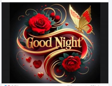 Screen Shot 2025-05-02 at 7.01.19 PM Large.jpeg