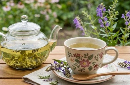 1774786790717.jpeg 1774786790717.jpeg