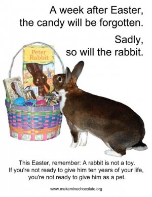 easter0.jpg