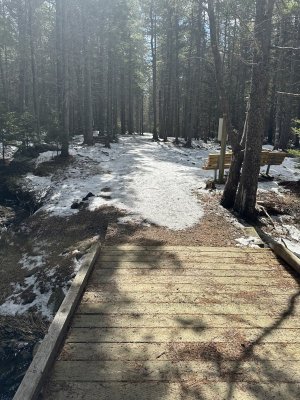 IMG_2985.jpeg IMG_2985.jpeg