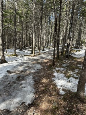 IMG_2986.jpeg IMG_2986.jpeg