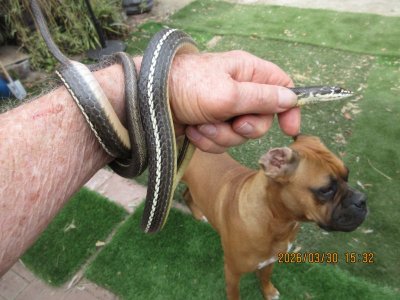 IMG_7364.JPG IMG_7364.JPG