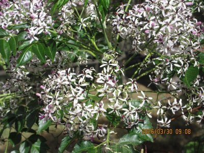 IMG_7359.JPG IMG_7359.JPG