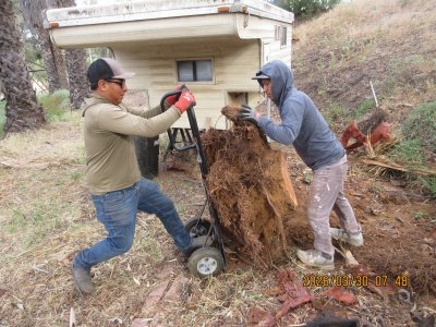 IMG_7349.JPG IMG_7349.JPG