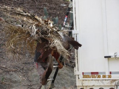 IMG_7353.JPG IMG_7353.JPG