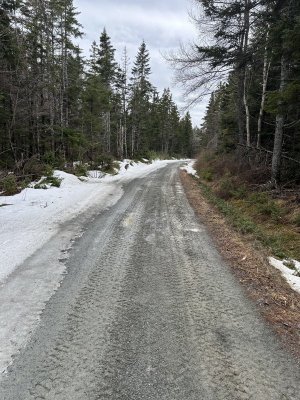 IMG_3012.jpeg IMG_3012.jpeg