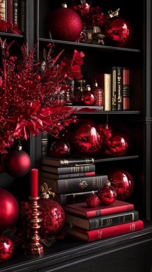 red shelves.jpg