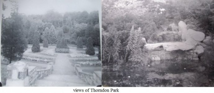 Thorndon Park1.jpg