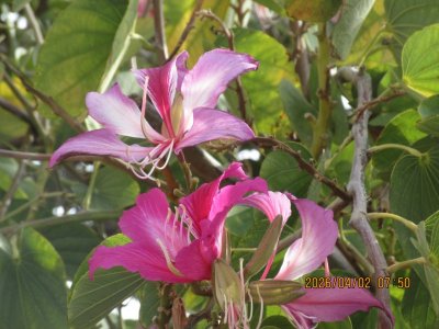 IMG_7416.JPG IMG_7416.JPG