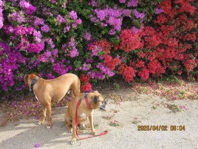 IMG_7436.JPG IMG_7436.JPG