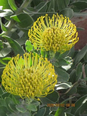 IMG_7441.JPG IMG_7441.JPG