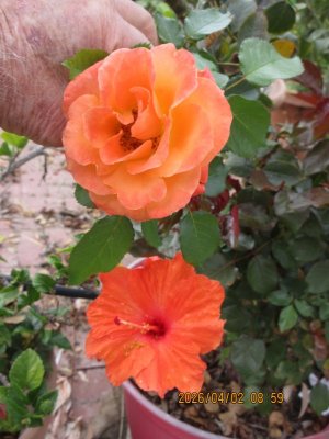 IMG_7474.JPG IMG_7474.JPG