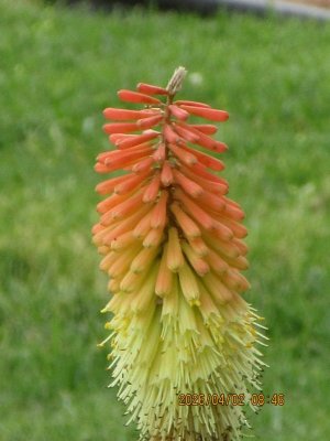 IMG_7467.JPG IMG_7467.JPG