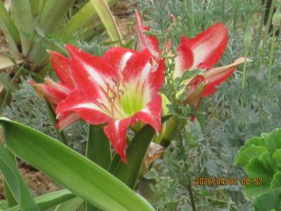 IMG_7470.JPG IMG_7470.JPG