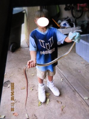 2026-04-01.jpg 2026-04-01.jpg