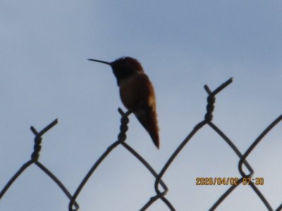 IMG_7408.JPG IMG_7408.JPG