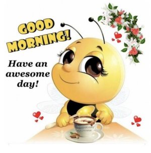 Good Morning big eyes..jpg