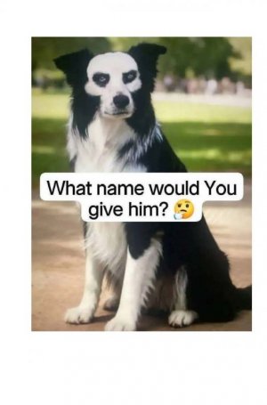 1775271916504.jpeg 1775271916504.jpeg