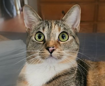 20250814_ITSY2.jpg 20250814_ITSY2.jpg