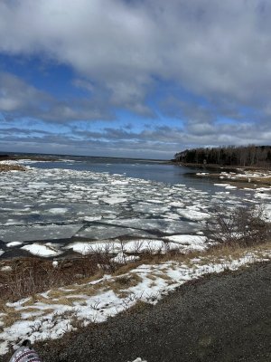 IMG_3060.jpeg IMG_3060.jpeg