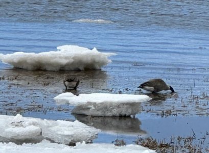 IMG_3063.jpeg IMG_3063.jpeg