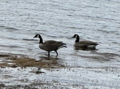 IMG_3072.jpeg IMG_3072.jpeg