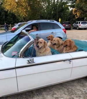 1000016846.jpg 1000016846.jpg