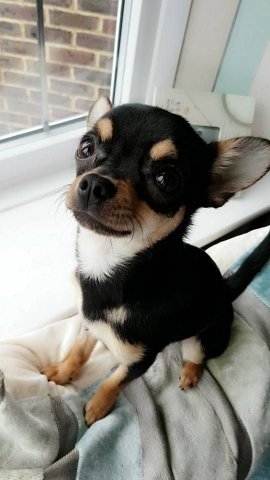 1000016840.jpg 1000016840.jpg