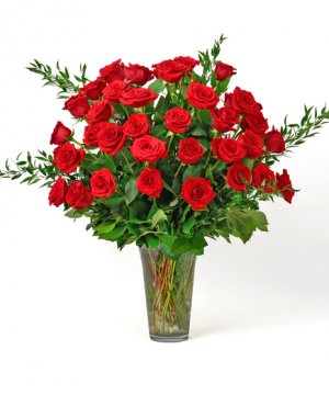 v4_4-dozen-red-roses-BEST-2-240219113152.jpg