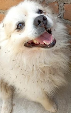 the-way-he-is-looking-so-no-one-could-scold-him-v0-556tuytagctg1.jpeg the-way-he-is-looking-so-no-one-could-scold-him-v0-556tuytagctg1.jpeg