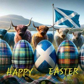 1775392088273.jpeg 1775392088273.jpeg