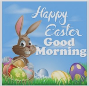 Screen Shot 2026-04-04 at 7.00.02 PM.jpg