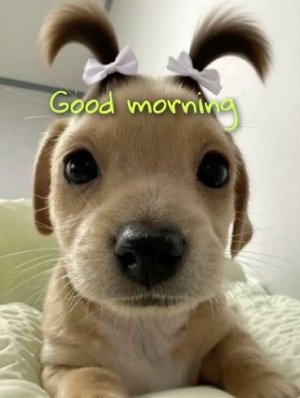 1000016830.jpg 1000016830.jpg