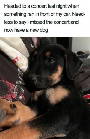 1000016880.jpg 1000016880.jpg