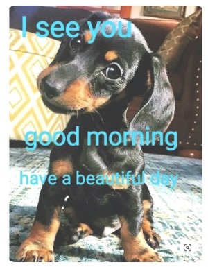 good morning copy 2.jpg