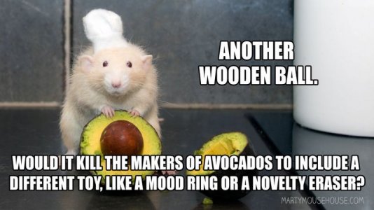 504517564_10226963999517249_7843091786962117708_n (1).jpg